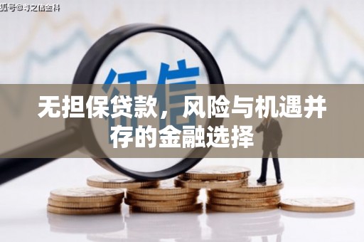临猗无担保贷款，风险与机遇并存的金融选择