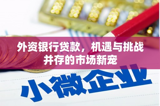 临猗外资银行贷款，机遇与挑战并存的市场新宠