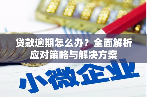 临猗贷款逾期怎么办？全面解析应对策略与解决方案