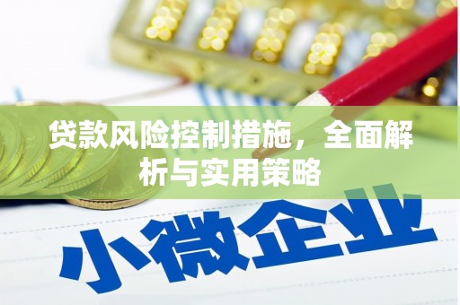 临猗贷款风险控制措施，全面解析与实用策略