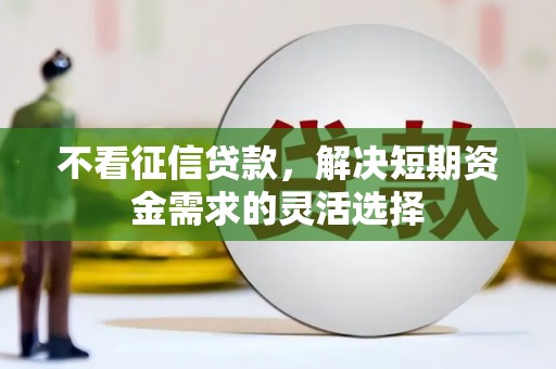临猗不看征信贷款，解决短期资金需求的灵活选择