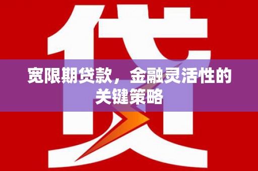 临猗宽限期贷款，金融灵活性的关键策略