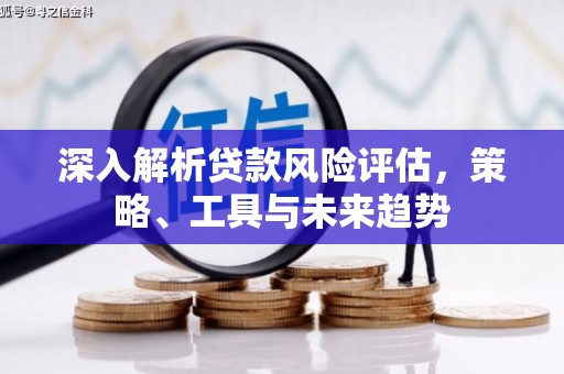 临猗深入解析贷款风险评估，策略、工具与未来趋势