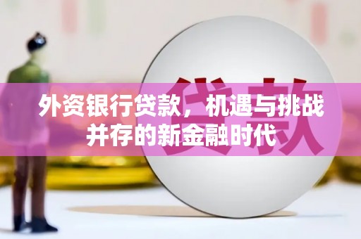 临猗外资银行贷款，机遇与挑战并存的新金融时代