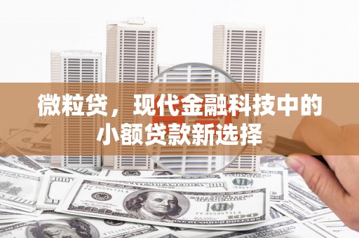 临猗微粒贷，现代金融科技中的小额贷款新选择