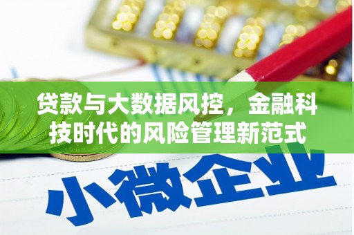 临猗贷款与大数据风控，金融科技时代的风险管理新范式