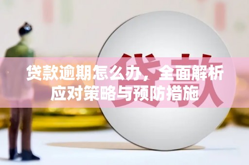 临猗贷款逾期怎么办，全面解析应对策略与预防措施