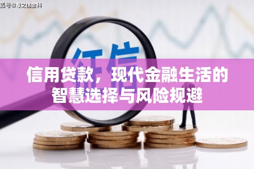 临猗信用贷款，现代金融生活的智慧选择与风险规避