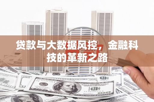 临猗贷款与大数据风控，金融科技的革新之路