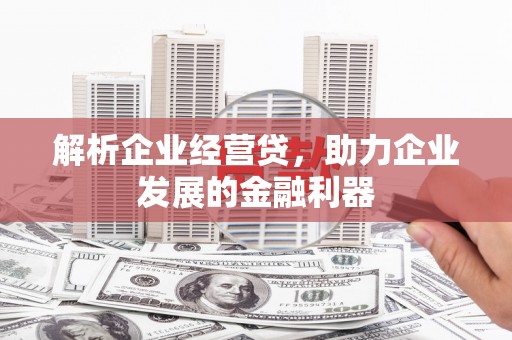 临猗解析企业经营贷，助力企业发展的金融利器