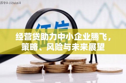 临猗经营贷助力中小企业腾飞，策略、风险与未来展望