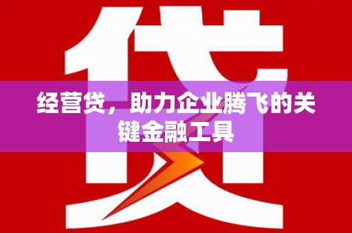 临猗经营贷，助力企业腾飞的关键金融工具