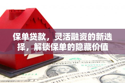 临猗保单贷款，灵活融资的新选择，解锁保单的隐藏价值