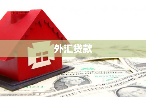 临猗外汇贷款