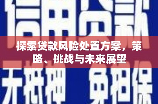 临猗探索贷款风险处置方案，策略、挑战与未来展望