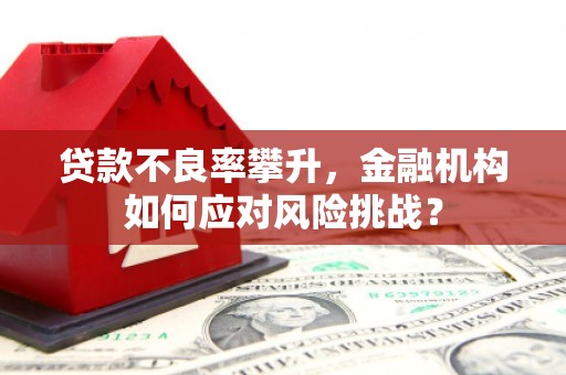 临猗贷款不良率攀升，金融机构如何应对风险挑战？