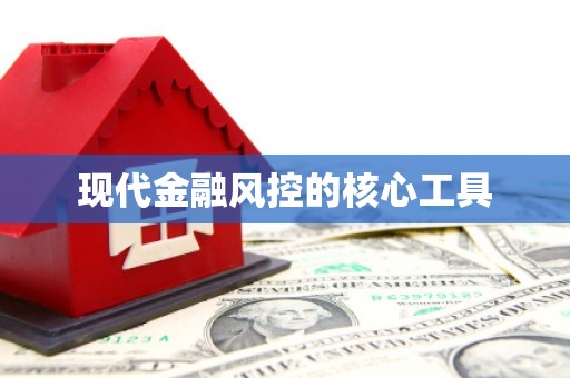 临猗现代金融风控的核心工具