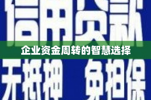 临猗企业资金周转的智慧选择