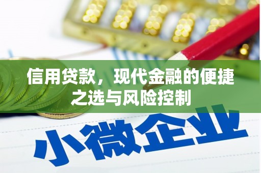 临猗信用贷款，现代金融的便捷之选与风险控制