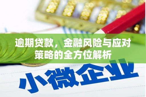 临猗逾期贷款，金融风险与应对策略的全方位解析