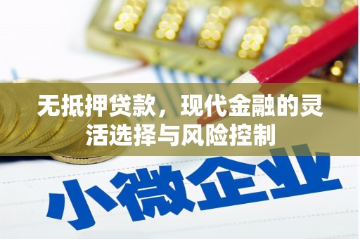 临猗无抵押贷款，现代金融的灵活选择与风险控制