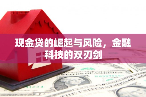 临猗现金贷的崛起与风险，金融科技的双刃剑