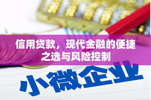 临猗信用贷款，现代金融的便捷之选与风险控制