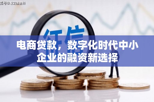 临猗电商贷款，数字化时代中小企业的融资新选择