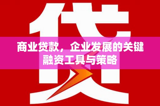 临猗商业贷款，企业发展的关键融资工具与策略