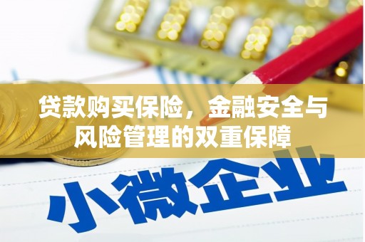 临猗贷款购买保险，金融安全与风险管理的双重保障