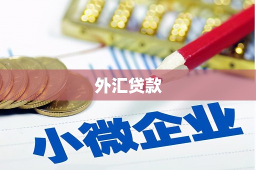 临猗外汇贷款