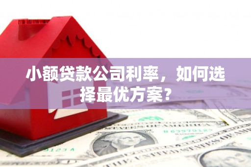临猗小额贷款公司利率，如何选择最优方案？