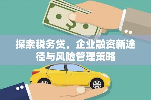 临猗探索税务贷，企业融资新途径与风险管理策略