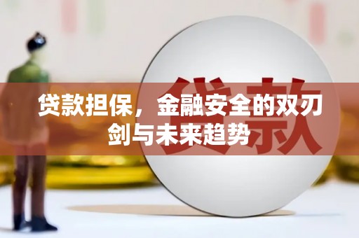 临猗贷款担保，金融安全的双刃剑与未来趋势