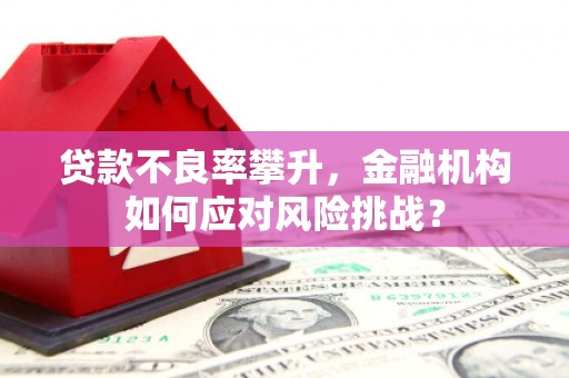 临猗贷款不良率攀升，金融机构如何应对风险挑战？