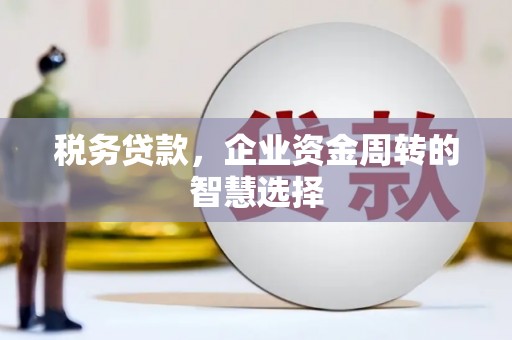 临猗税务贷款，企业资金周转的智慧选择
