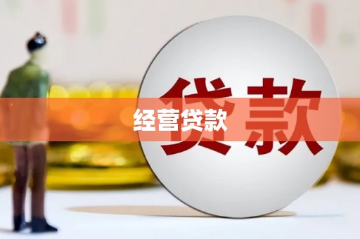 临猗经营贷款