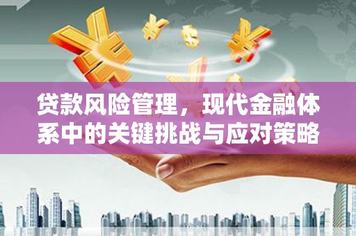 临猗贷款风险管理，现代金融体系中的关键挑战与应对策略