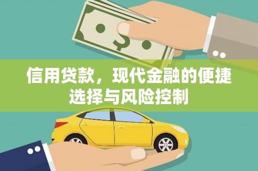 临猗信用贷款，现代金融的便捷选择与风险控制