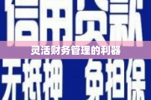 临猗灵活财务管理的利器
