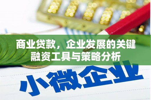 临猗商业贷款，企业发展的关键融资工具与策略分析
