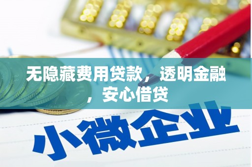 临猗无隐藏费用贷款，透明金融，安心借贷
