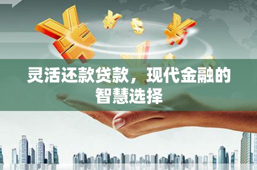 临猗灵活还款贷款，现代金融的智慧选择