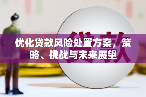 临猗优化贷款风险处置方案，策略、挑战与未来展望
