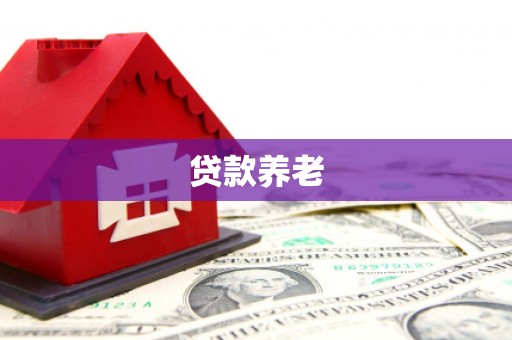 临猗贷款养老