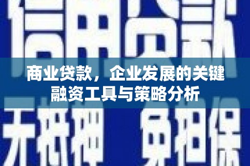临猗商业贷款，企业发展的关键融资工具与策略分析