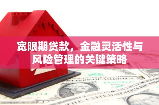 临猗宽限期贷款，金融灵活性与风险管理的关键策略