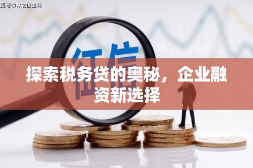 临猗探索税务贷的奥秘，企业融资新选择