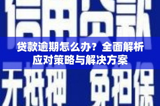 临猗贷款逾期怎么办？全面解析应对策略与解决方案
