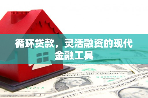 临猗循环贷款，灵活融资的现代金融工具